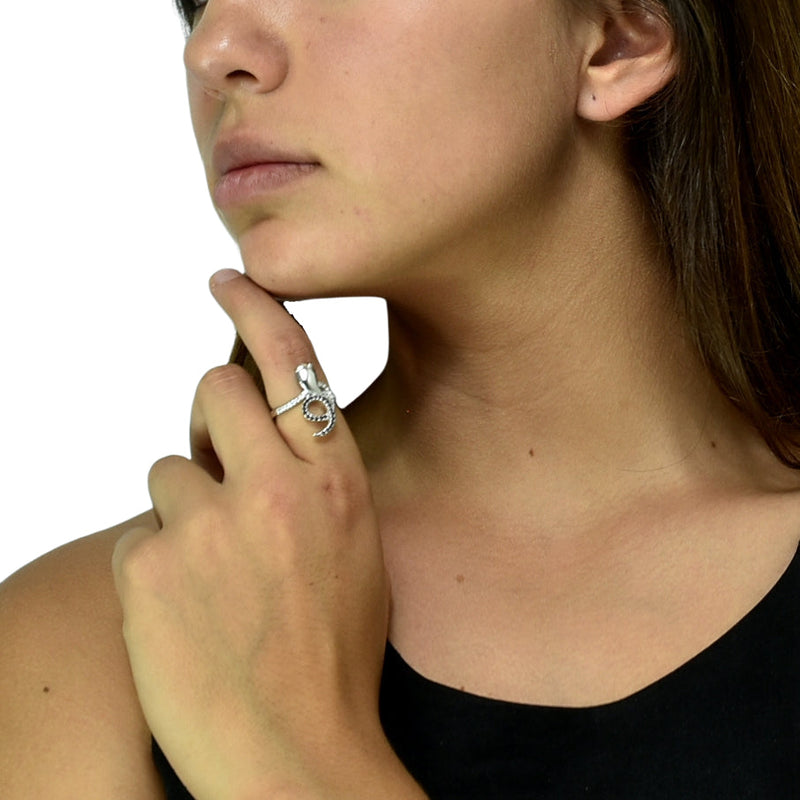 Anillo Até