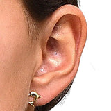 Arete Oro Delfin Sencillo