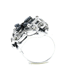 Anillo Ocampo