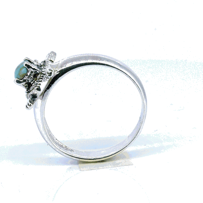 Anillo Tortuga Rusa