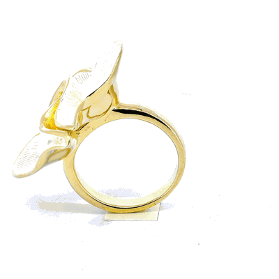 Anillo Moira